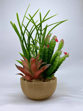 Artificial Succulent & Cactus Arrangement in Decorative Pot